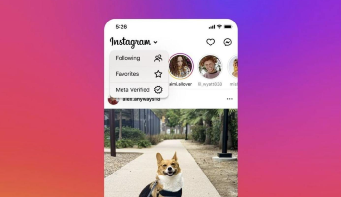 Instagram Testing Dedicated Feed For Meta Verified Users - Ravzgadget